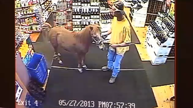 Bajs, Polis, Spritbutik, Ponny